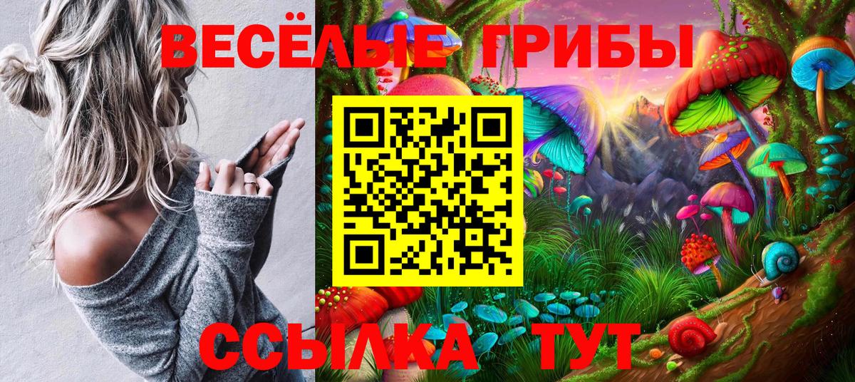 Галлюциногенные грибы Psilocybe  где купить наркотик  Кунгур  Вход с VPN 